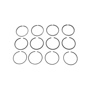T4,G1,G2,G3,G4 Piston Ring Set (81mm) - 1.6 (EW), 2.8 (AES)