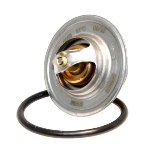 T5,G4 Thermostat - 2.0 Petrol (AXA)