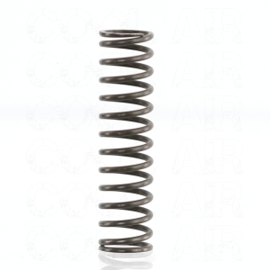 Oil Pressure Relief Spring - Type 4 + Waterboxer Engines
