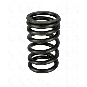 Beetle Valve Spring (Not 25HP Or 30HP Engines)