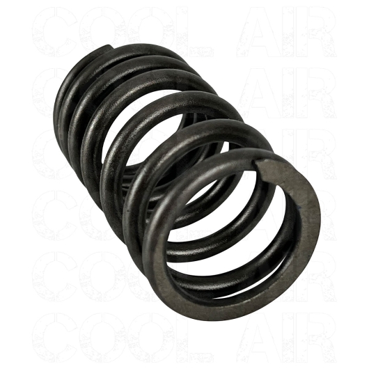 Type 1 Valve Spring (Not 25HP Or 30HP Engines)
