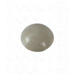 Baywindow Bus Bumper Bolt Cap - 1973-79 (Also Type 25) - Pastel White