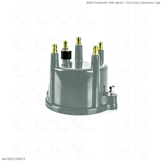 Billet Distributor With Ignitor 1 And Grey Distributor Cap