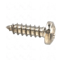 Internal Sunvisor Clip Screw