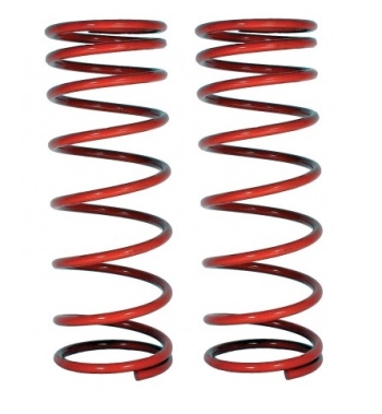 1302 and 1303 Front Springs