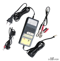 6v And 12v Battery Charger - Accumate