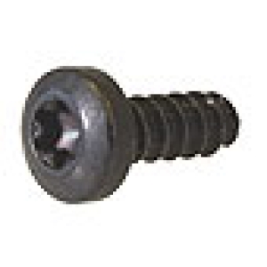 Number Plate Light Screw - T2 (Also Interior Light Switch Screw)