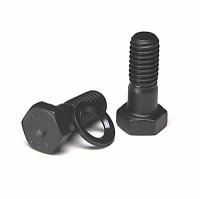 Type 25 Waterboxer Flywheel Bolt