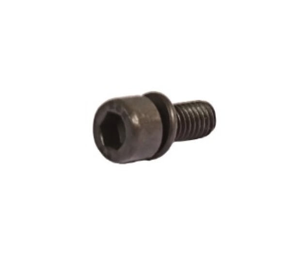 Baywindow Bus Cab Door Check Strap Screw - 1968-75