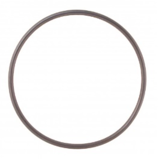 Type 25 Water Pump O-Ring (Also T4 Water Pump O-Ring - AAB,AJA,ACV,AHY,AJT,AUF,AXG,AYC,AYY Engines)
