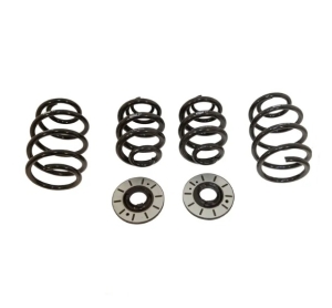 T6 Eibach 30mm Lowering Springs - T26, T28 And T30 Models