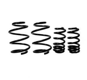 T5 ST Sports 30mm Lowering Springs - T32 Models